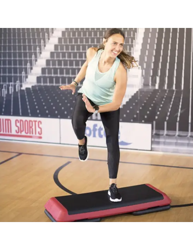 STEP PROFESIONAL DE 4 BASES