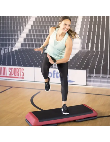 STEP PROFESIONAL DE 4 BASES