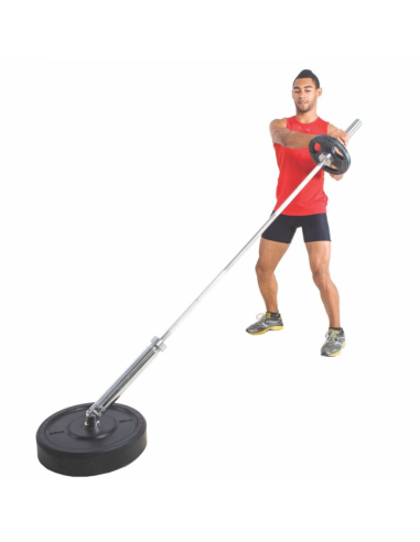 LANDMINE